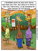 Click for full size