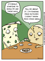 Click for full size