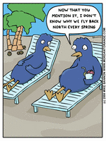 Click for full size