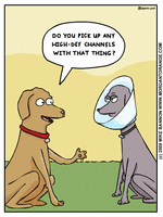Click for full size