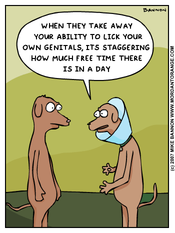 http://www.mordantorange.com/mo/comics/2007-08-07.gif