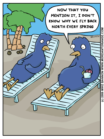 Unasked Question
