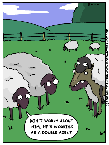 Under Wool Cover